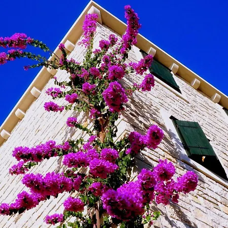 Villae Dalmaticae - Kastil Holiday home Sumartin